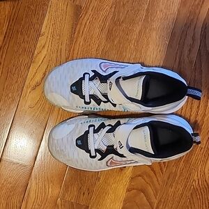 Nike giannis basketball shoes